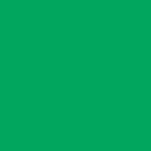 سبز روشن Light Green